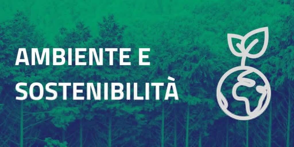 Raccolta di legna dai fiumi e corsi d’acqua per uso personale