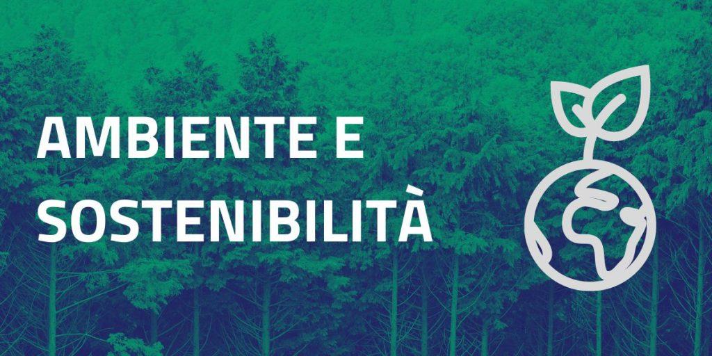 Raccolta e taglio del legname caduto nell’alveo dei corsi d’acqua afferenti ai bacini dei Fiumi Enza, Secchia, Tresinaro, Crostolo. Annualità 2024